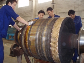 振動(dòng)電機(jī)振動(dòng)過(guò)大是由哪些原因?qū)е?，如何處?></div>
                            <div   id=
