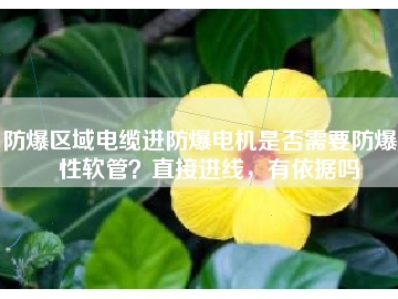 防爆區(qū)域電纜進防爆電機是否需要防爆撓性軟管？直接進線，有依據(jù)嗎