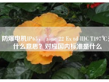 防爆電機IP65， zone 22 Ex td IIIC T197℃是什么意思？對應(yīng)國內(nèi)標準是什么
