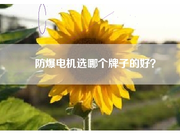防爆電機(jī)選哪個牌子的好？