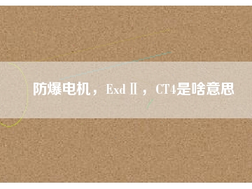 防爆電機，ExdⅡ，CT4是啥意思