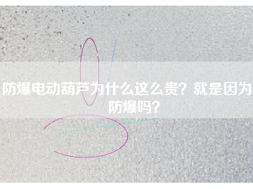 防爆電動葫蘆為什么這么貴？就是因為能防爆嗎？