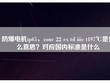 防爆電機ip65，zone 22 ex td iiic t197℃是什么意思？對應(yīng)國內(nèi)標準是什么