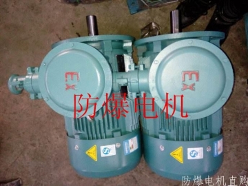防爆電機(jī)分類(lèi)：防爆電機(jī)選型、參數(shù)、定義