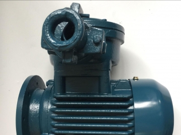 防爆電機(jī)的效率怎么樣？能耗主要在哪里損耗了？
