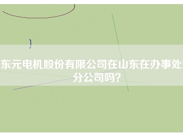 東元電機股份有限公司在山東在辦事處或分公司嗎？