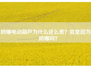 防爆電動葫蘆為什么這么貴？就是因為能防爆嗎？