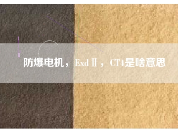 防爆電機，ExdⅡ，CT4是啥意思