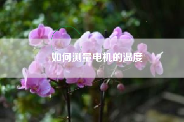 如何測量電機(jī)的溫度