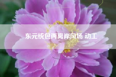 東元統(tǒng)包兩離岸風(fēng)場 動(dòng)工