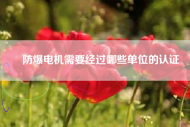 防爆電機需要經(jīng)過哪些單位的認(rèn)證