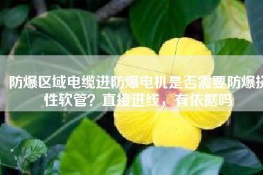 防爆區(qū)域電纜進(jìn)防爆電機(jī)是否需要防爆撓性軟管？直接進(jìn)線，有依據(jù)嗎