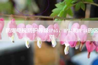 防爆電機(jī)防護(hù)等級(jí)IP65，IP55和IP54的區(qū)別