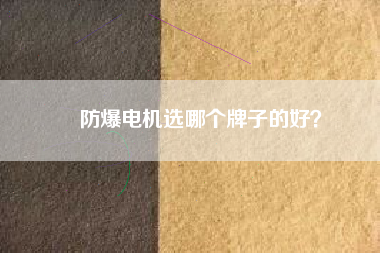 防爆電機選哪個牌子的好？