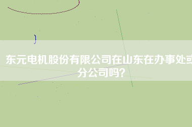 東元電機股份有限公司在山東在辦事處或分公司嗎？