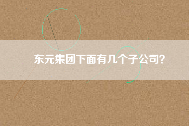 東元集團(tuán)下面有幾個(gè)子公司？