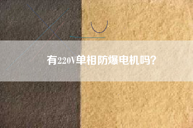 有220V單相防爆電機(jī)嗎？