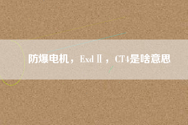 防爆電機，ExdⅡ，CT4是啥意思